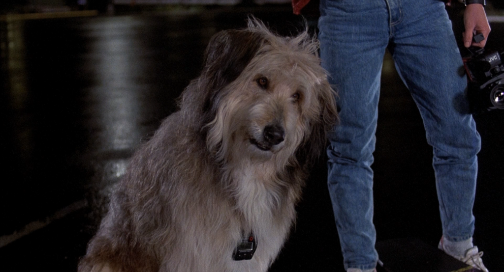 A screenshot from Back to the Future showing Doc's dog Einstein making a face.